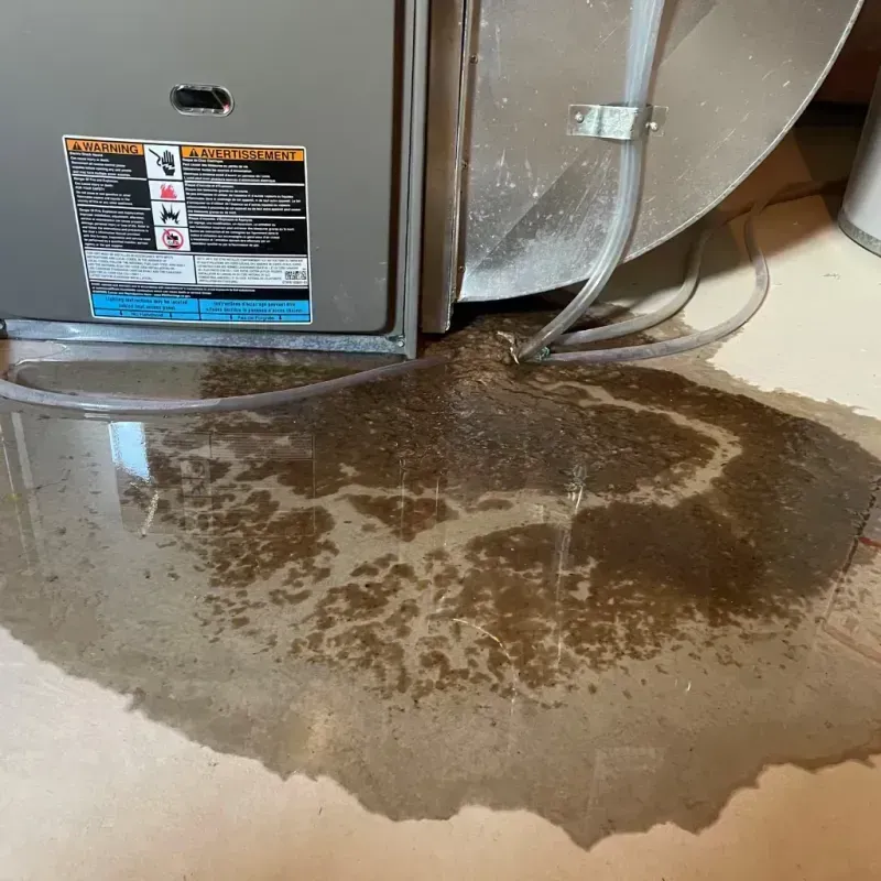 Appliance Leak Cleanup in Montegut, LA